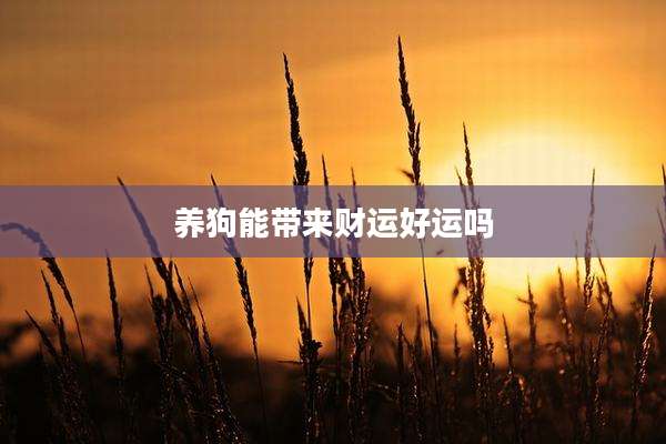养狗能带来财运好运吗