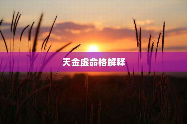 天金虚命格解释