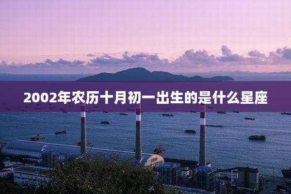 2002年农历十月初一出生的是什么星座