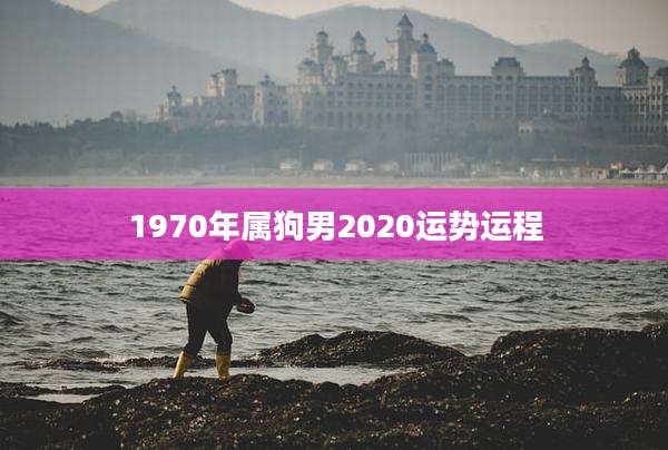 1970年属狗男2020运势运程