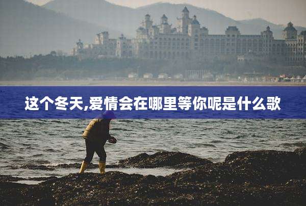 这个冬天,爱情会在哪里等你呢是什么歌