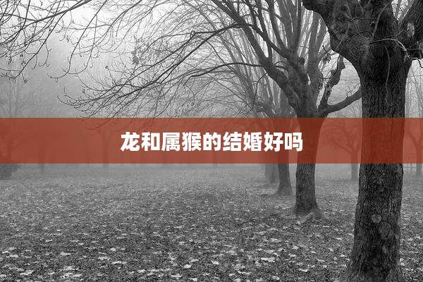 龙和属猴的结婚好吗
