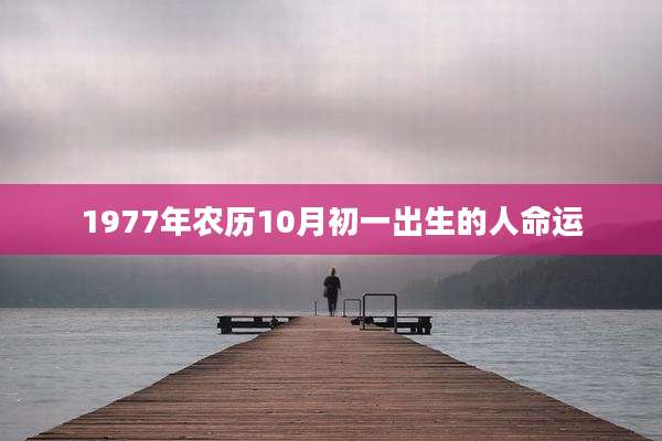 1977年农历10月初一出生的人命运