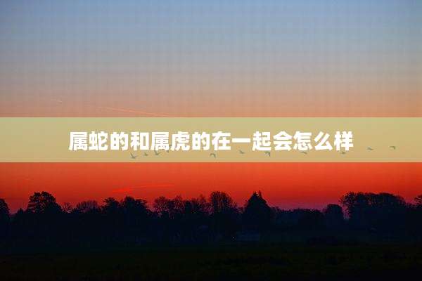 属蛇的和属虎的在一起会怎么样