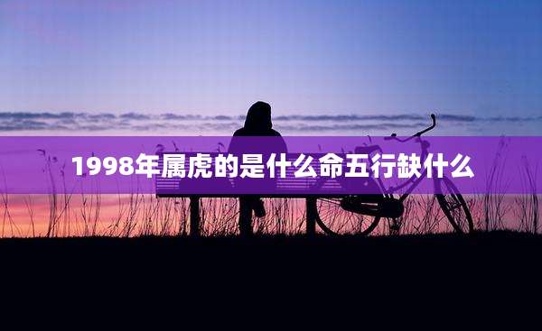 1998年属虎的是什么命五行缺什么