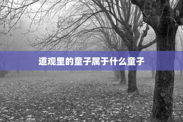 道观里的童子属于什么童子