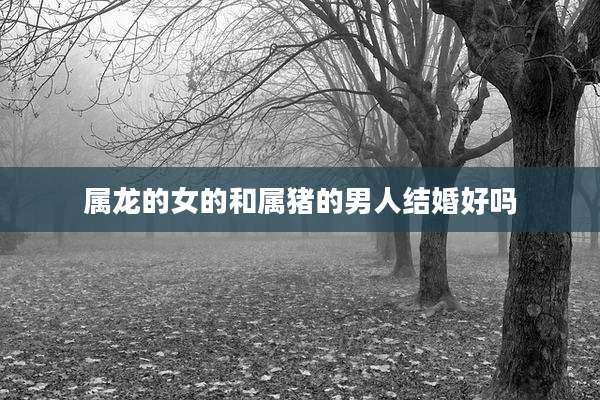 属龙的女的和属猪的男人结婚好吗