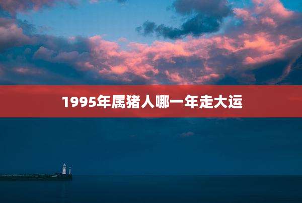 1995年属猪人哪一年走大运