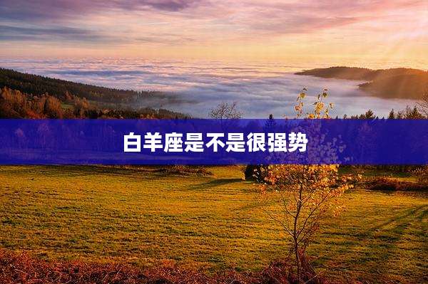 白羊座是不是很强势