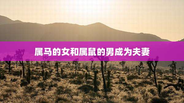 属马的女和属鼠的男成为夫妻