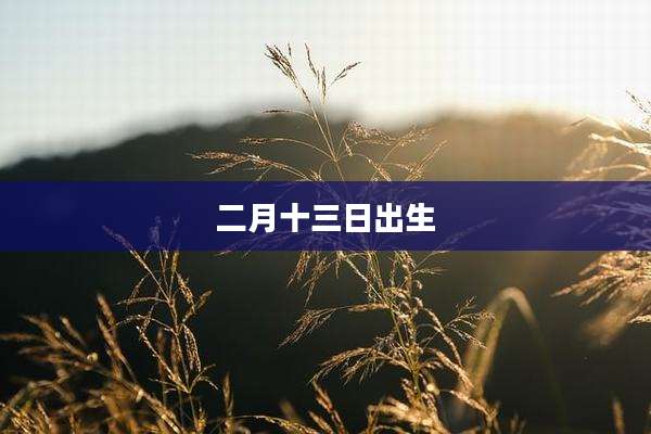 二月十三日出生