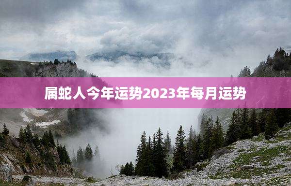 属蛇人今年运势2023年每月运势