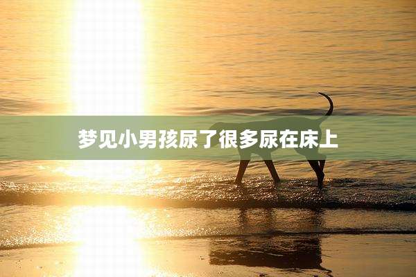 梦见小男孩尿了很多尿在床上