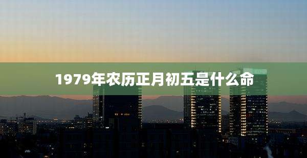 1979年农历正月初五是什么命