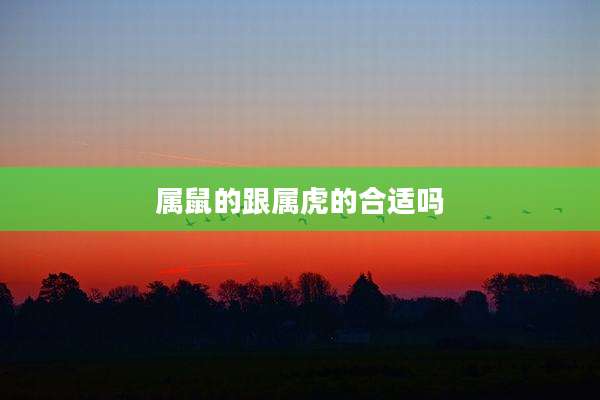 属鼠的跟属虎的合适吗