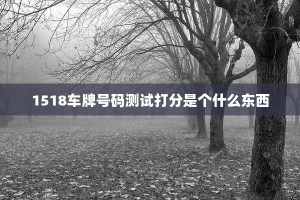 1518车牌号码测试打分是个什么东西