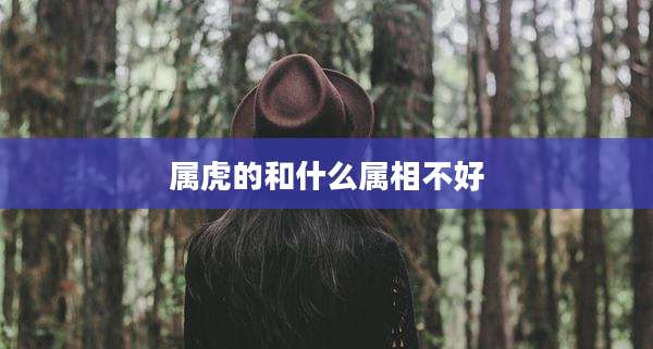 属虎的和什么属相不好