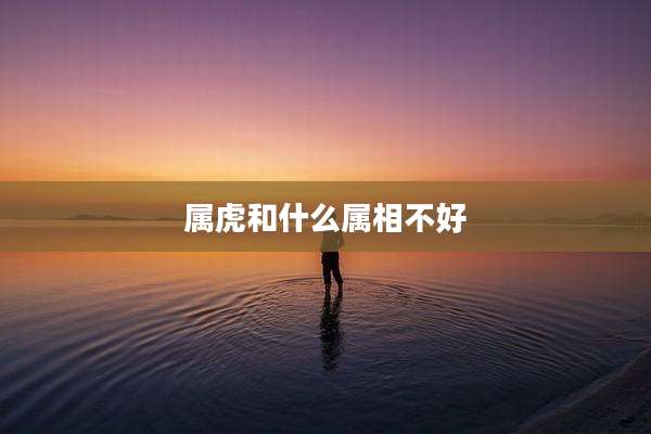 属虎和什么属相不好