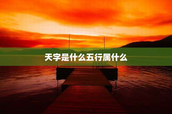 天字是什么五行属什么