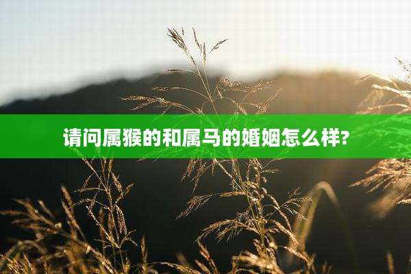 请问属猴的和属马的婚姻怎么样?