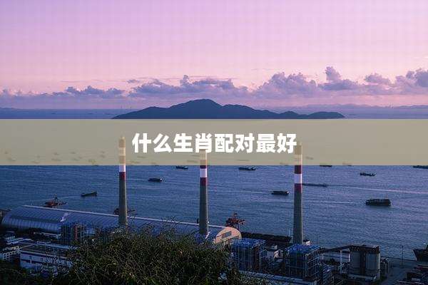 什么生肖配对最好