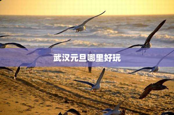 武汉元旦哪里好玩
