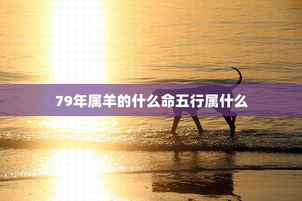 79年属羊的什么命五行属什么