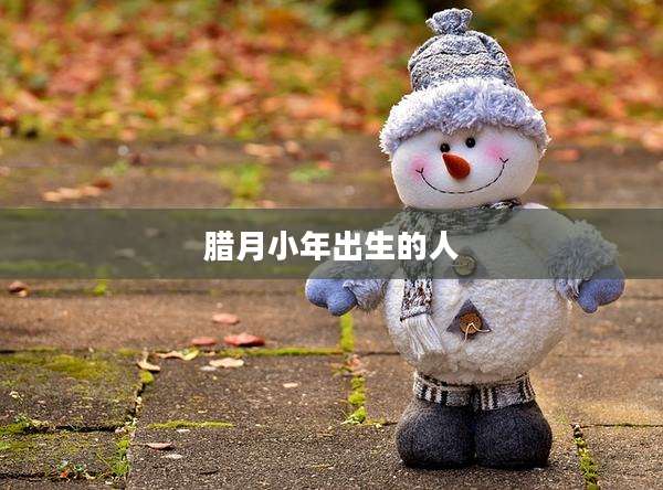 腊月小年出生的人