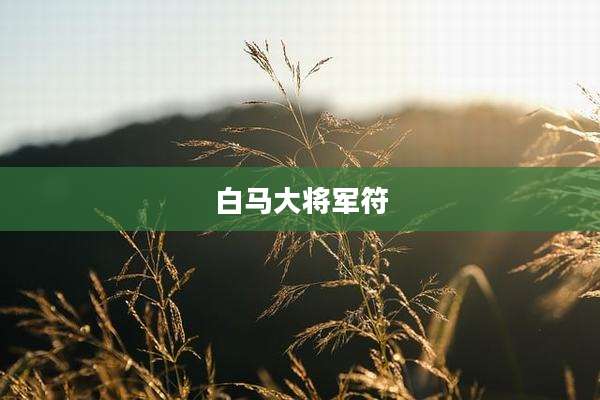 白马大将军符