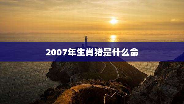 2007年生肖猪是什么命