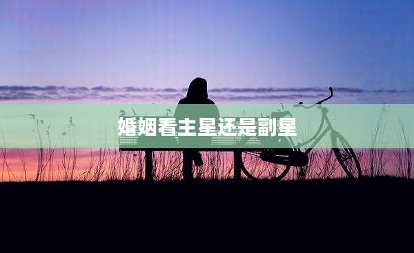 婚姻看主星还是副星