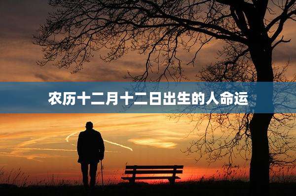 农历十二月十二日出生的人命运