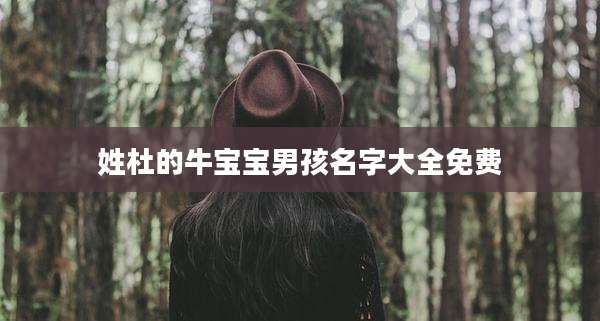 姓杜的牛宝宝男孩名字大全免费