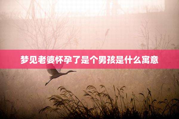 梦见老婆怀孕了是个男孩是什么寓意