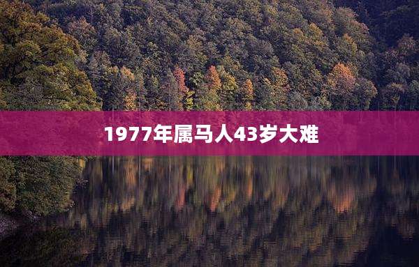 1977年属马人43岁大难