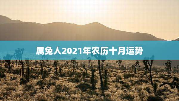 属兔人2021年农历十月运势