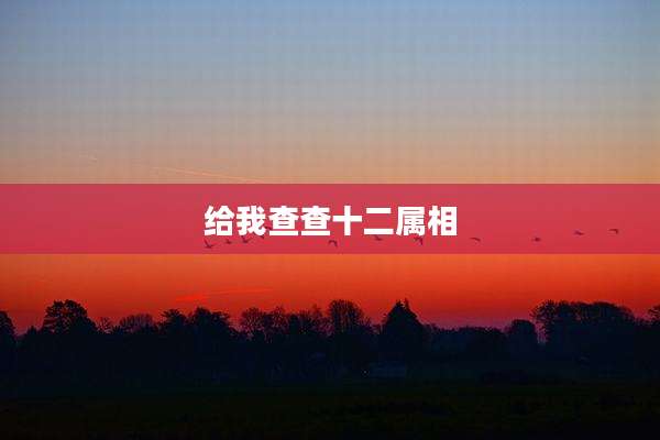 给我查查十二属相