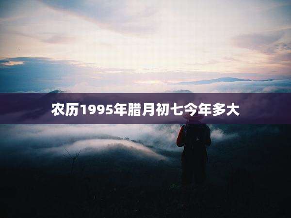 农历1995年腊月初七今年多大