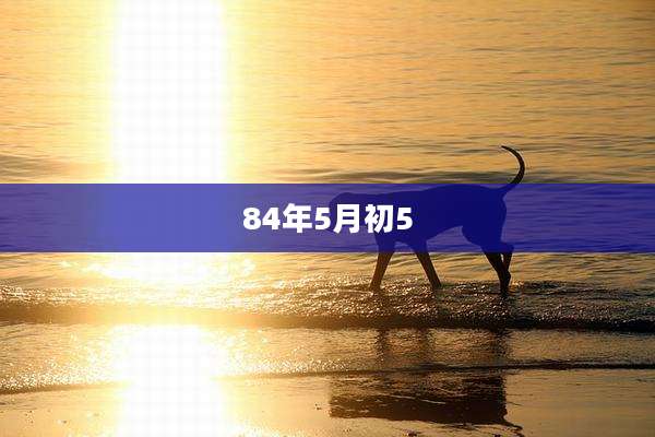 84年5月初5