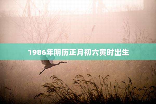 1986年阴历正月初六寅时出生
