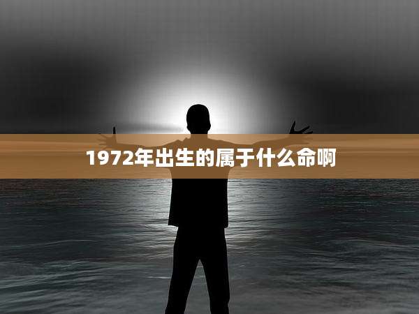 1972年出生的属于什么命啊