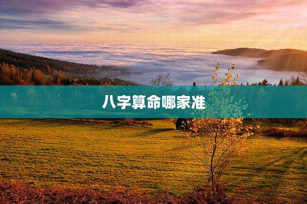 八字算命哪家准