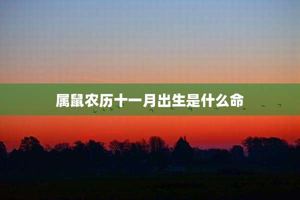 属鼠农历十一月出生是什么命