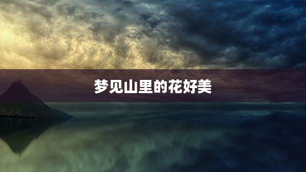梦见山里的花好美