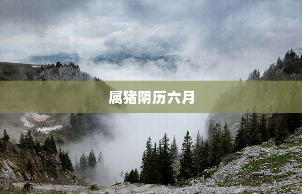属猪阴历六月