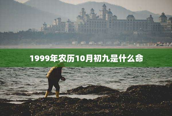 1999年农历10月初九是什么命