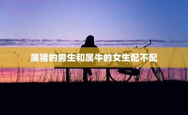 属猪的男生和属牛的女生配不配