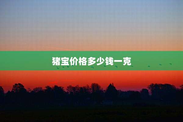 猪宝价格多少钱一克
