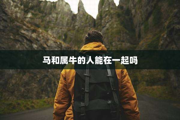 马和属牛的人能在一起吗
