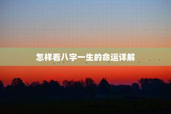 怎样看八字一生的命运详解